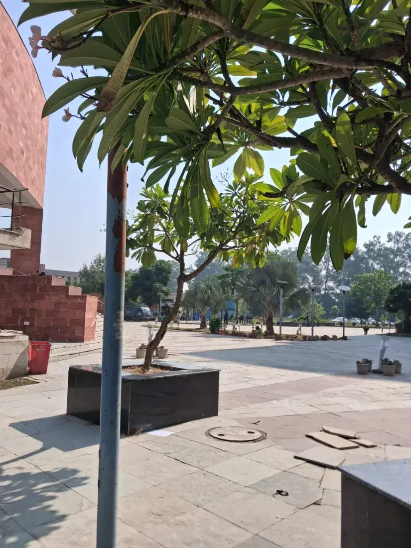 I.K. Gujral Punjab Technical University Jalandhar Campus photo 41